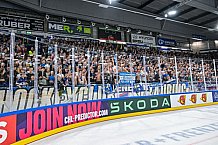 Eishockey, Men, CHL, Champions Hockey League, Regular Saison 2024-25, Game Day 1, Straubing Tigers - SonderjyskE Vojens, 06.09.2024