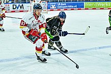 Eishockey, Herren, Penny DEL, 12. Spieltag, Saison 2023-2024, Straubing Tigers - Duesseldorfer EG,20.10.2023