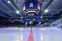 Eishockey, Men, CHL, Champions Hockey League, Regular Saison 2024-25, Game Day 4, Straubing Tigers - Dynamo Pardubice, 15.09.2024