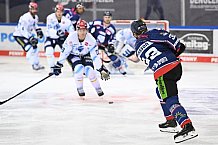 Straubing Tigers - ERC Ingolstadt
