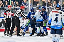 Eishockey, Herren, Penny DEL, Saison 2024-2024, Vorbereitung, Gäubodencup 2024, Straubing Tigers - ERC Ingolstadt, 29.08.2024