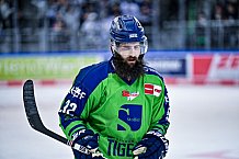 Eishockey, Herren, DEL, Saison 2022-2023, Hauptrunde, Straubing Tigers - EHC Red Bull München, 13. Spieltag, 21.10.2022