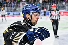 Eishockey, Herren, Penny DEL, 22. Spieltag, Saison 2023-2024, Straubing Tigers - Fischtown Pinguins Bremerhaven,26.11.2023