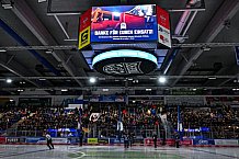 Eishockey, Herren, Penny DEL, 24. Spieltag, Saison 2023-2024, Straubing Tigers - Grizzlys Wolfsburg,03.12.2023