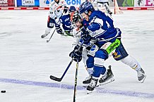 Eishockey, Herren, Penny DEL, 42. Spieltag, Saison 2023-2024, Straubing Tigers - Ingolstadt Panther,28.01.2024