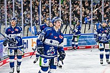 Eishockey, Herren, Penny DEL, 42. Spieltag, Saison 2023-2024, Straubing Tigers - Ingolstadt Panther,28.01.2024