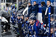 Eishockey, Herren, DEL, Saison 2021-2022, Playoff, Viertelfinale, Spiel 1, Straubing Tigers - Adler Mannheim, 10.04.2022