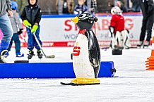 Eishockey, Men, DEL, Penny DEL,  Straubing Tigers - Kids on Ice, 28.09.2024