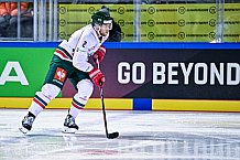 Eishockey, Herren, CHL, Champions Hockey League, Saison 2022-2023, Achtelfinale, Straubing Tigers - Frölunda HC Göteborg, Rückspiel, 22.11.2022
