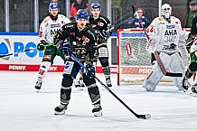 Eishockey, Herren, Penny DEL, 34. Spieltag, Saison 2023-2024, Straubing Tigers - Augsburger Panther,03.01.2024