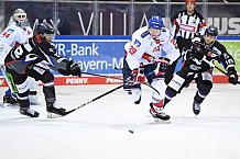 Eishockey, Herren, DEL, Saison 20202021, Straubing Tigers - Adler Mannheim, 22.01.2021