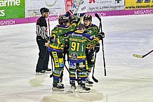 Herren, Eishockey, Oberliga-Sued, Saison 2023-2024, DEB, Deggendorfer SC - Heilbronner Falken, 28. Spieltag, 22.12.2023