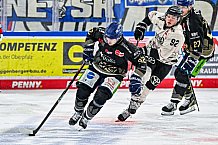 Eishockey, Herren, Penny DEL, 47. Spieltag, Saison 2023-2024, Straubing Tigers - Koelner Haie,18.02.2024