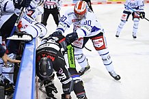 Eishockey, Herren, DEL, Saison 2020 2021, Straubing Tigers - Schwenninger Wild Wings, 25.01.2021