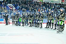 Eishockey, Herren, Penny DEL, 12. Spieltag, Saison 2023-2024, Straubing Tigers - Duesseldorfer EG,20.10.2023