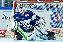 Eishockey, Herren, Penny DEL, 4. Spieltag, Saison 2023-2024, Straubing Tigers - Loewen Frankfurt,24.09.2023