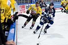 Eishockey, DEL, Penny-DEL, ICE Hockey League, Vorbereitung, 05.09.2021