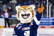 Eishockey, Herren, DEL, Saison 2021-2022, 01.10.2021