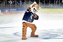Eishockey, Herren, DEL, Saison 2021-2022, Straubing Tigers - Adler Mannheim, 10.09.2021