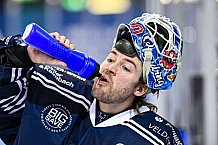 Eishockey, Herren, DEL, Saison 2020-2021, Straubing Tigers - Düsseldorfer EG, 04.04.2021