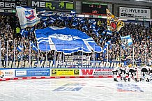 Eishockey, Herren, Penny DEL, 1. Spieltag, Saison 2023-2024, Straubing Tigers - Fischtown Pinguins Bremerhaven,15.09.2023