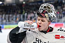 Eishockey, Herren, Penny DEL, 47. Spieltag, Saison 2023-2024, Straubing Tigers - Koelner Haie,18.02.2024