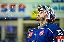 Eishockey, CHL, Champions Hockey League, 3. Spieltag, Saison 2022-2023, Gruppe F, Straubing Tigers - Comrach Cracovia, 09.09.2022