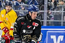 Eishockey, Herren, Penny DEL, 20. Spieltag, Saison 2023-2024, Straubing Tigers - Duesseldorfer EG,19.11.2023