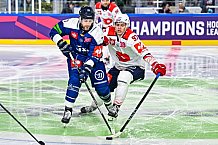 Eishockey, Men, CHL, Champions Hockey League, Regular Saison 2024-25, Game Day 4, Straubing Tigers - Dynamo Pardubice, 15.09.2024