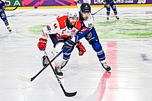 Eishockey, Men, CHL, Champions Hockey League, Regular Saison 2024-25, Game Day 4, Straubing Tigers - Dynamo Pardubice, 15.09.2024
