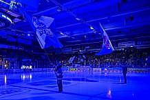 Eishockey, Herren, Penny DEL, 14. Spieltag, Saison 2023-2024, Straubing Tigers - Nuernberg Ice Tigers,27.10.2023