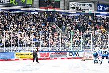 Eishockey, Herren, Penny DEL, Saison 2024-2024, Vorbereitung, Gäubodencup 2024, Straubing Tigers - ERC Ingolstadt, 29.08.2024