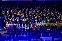 Eishockey, Men, DEL, Penny DEL, Hauptrunde Saison 2024-25, 1. Spieltag, Straubing Tigers - Düsseldorfer EG, 20.09.2024