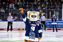 Eishockey, Herren, DEL, Saison 2021-2022, 07.11.2021