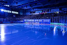 Eishockey, Herren, Penny DEL, DEL, Saison 2022-2023, Playoffs, Viertelfinale, Spiel 7, Straubing Tigers - Grizzlys Wolfsburg, 29.03.2023