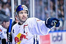 Eishockey, Herren, DEL, Saison 2022-2023, Hauptrunde, Straubing Tigers - EHC Red Bull München, 13. Spieltag, 21.10.2022
