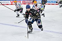 Eishockey, Herren, Penny DEL, 22. Spieltag, Saison 2023-2024, Straubing Tigers - Fischtown Pinguins Bremerhaven,26.11.2023
