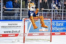 Eishockey, Herren, DEL, Saison 2021-2022, 19.10.2021