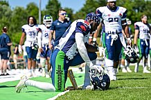 American Football, Herren, Shark Water GFL, Saison 2022, Straubing Spiders -  Mecenaries Marburg, 02.07.2022