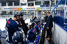 Eishockey, Herren, DEL, Saison 2021-2022, Straubing Tigers - Adler Mannheim, 10.09.2021