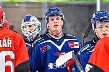 Eishockey, Herren, Penny DEL, Saison 2024-2024, Vorbereitung, Spiel um Platz 3 - Gäubodencup 2024, Straubing Tigers - Mountfield HK, 31.08.2024