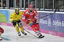 Herren, Eishockey, Oberliga-Süd, DEB, Saison 2024-2025, Deggendorfer SC - Tölzer Löwen, 22.09.2024
