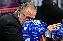 Eishockey, Herren, Penny DEL, 34. Spieltag, Saison 2023-2024, Straubing Tigers - Augsburger Panther,03.01.2024