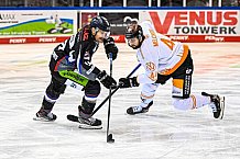 Eishockey, Herren, DEL, Saison 2020-2021, Straubing Tigers - Grizzlys Wolfsburg, 16.04.2021