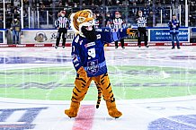 Eishockey, Herren, DEL, Saison 2021-2022, Playoff, Viertelfinale, Spiel 3, Straubing Tigers - Adler Mannheim, 14.04.2022