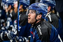 Eishockey, Herren, Penny DEL, Playoffs, Viertelfinale, Spiel 7, Saison 2023-2024, Straubing Tigers - Schwenninger Wild Wings,30.03.2024