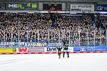 Eishockey, Herren, Penny DEL, 52. Spieltag, Saison 2023-2024, Straubing Tigers - Grizzlys Wolfsburg,08.03.2024