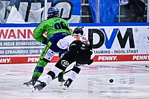 Eishockey, Herren, Penny DEL, DEL, Saison 2022-2023, Hauptrunde, Straubing Tigers - Kölner Haie, 57. Spieltag, 26.02.2023