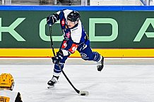 Eishockey, Men, CHL, Champions Hockey League, Regular Saison 2024-25, Game Day 2, Straubing Tigers - Skelleftea AIK, 08.09.2024
