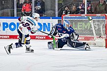 Eishockey, Herren, Penny DEL, 37. Spieltag, Saison 2023-2024, Straubing Tigers - Eisbären Berlin,12.01.2024